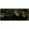 Image 2 : Bright (2017) - Orc Male Full Mask