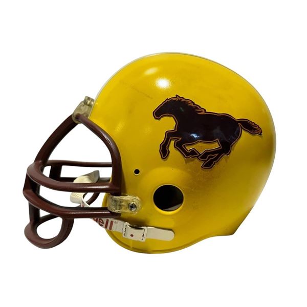 Life of the Party (2018) - Football Helmet