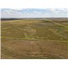 Image 2 : 473 +/- Acres of Clark Co Land