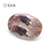 Image 3 : Pretty GIA Certified 1.16 Ct Natural Topaz
