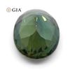 Image 3 : Pretty 1.30 Ct GIA Certified Natural Sapphire
