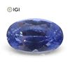 Image 1 : Impressive 1.58 IGI Certified Natural Sapphire