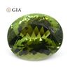 Image 1 : Large 9.30 Ct GIA Certified Natural Tourmaline