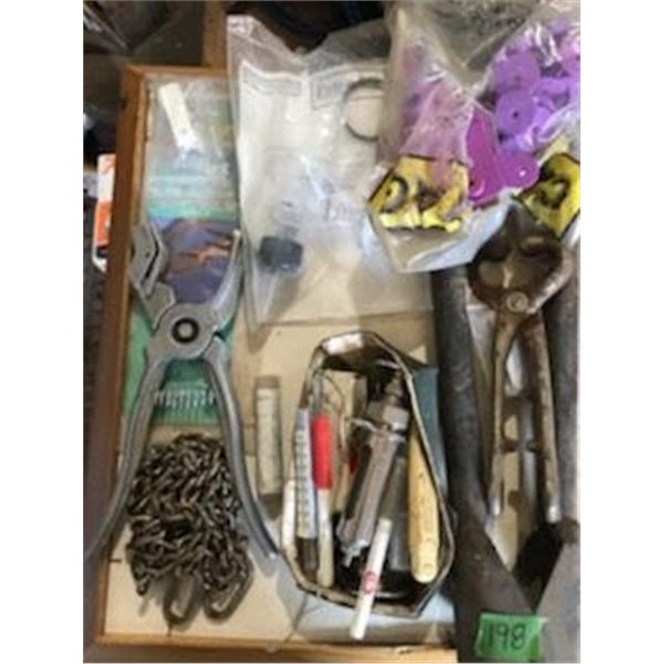 Flat with Vet Supply's bull lead, horn nippers,