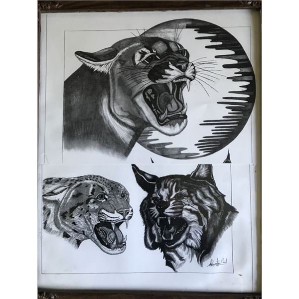 Signed Pencil Drawings of Wild Cat/ Tigers