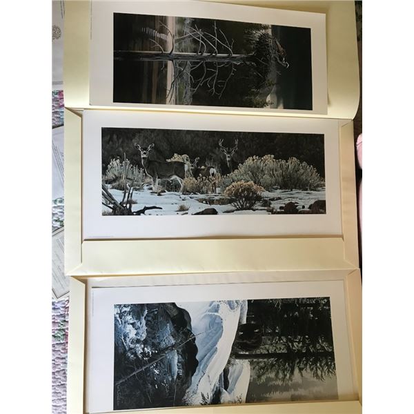 Set of 3 Wildlife Prints