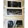 Image 1 : Set of 3 Wildlife Prints