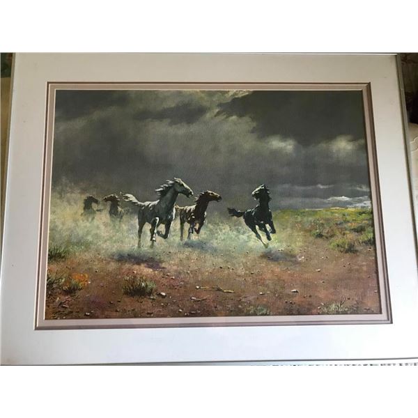Framed, Signed, Wild Horses Print