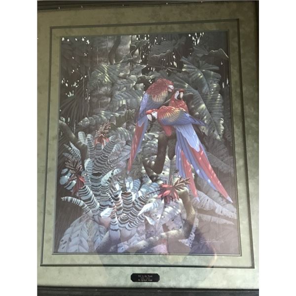 Framed, Signed Limited Edition Print