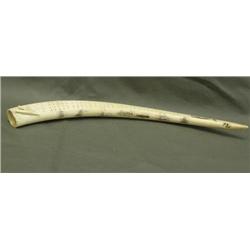 21" Walrus tusk crib board circa 1950scrimshawed with whaling scenes; 6 ships, amazing fleet, two wh