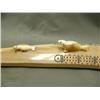 Image 2 : Fabulous ivory crib board, fossilized ivory cocoa brown color, 17.5" tusk, two seals, walrus, and po