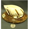 Image 1 : Circa 1950 4" ivory walrus, ivory has some dark brown streaks in it - may have been a crack that was