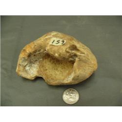 6" whale ear drum (3)