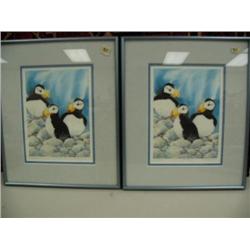 Two double matted and framed prints of puffins by J Cote Seuter  one is 320/850 and 319/850 frame is