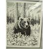 Image 2 : Alaskan Brown bear, matted and framed 781/ 985 J Cote Sueter (241)