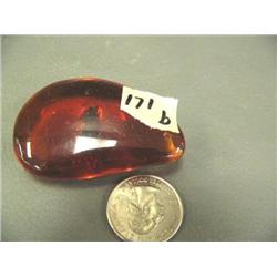CHOICE ON 4: piece of amber with insect specimen (3)