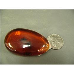 CHOICE ON 4: piece of amber with insect specimen (3)