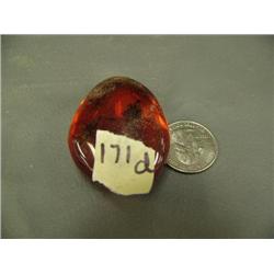 CHOICE ON 4: piece of amber with insect specimen (3)