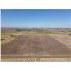 Image 2 : 240 +/- Acres of Kiowa Co, KS Dryland