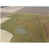 Image 6 : 240 +/- Acres of Kiowa Co, KS Dryland