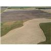 Image 7 : 240 +/- Acres of Kiowa Co, KS Dryland