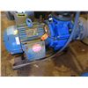 Image 2 : WEG W22 Close Coupled Pump JM NEMA Premium Efficiency 5 HP