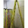 Image 1 : ESCABEAU EN FIBRE FEATHER LITE 10'