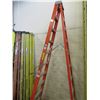 Image 1 : ESCABEAU EN FIBRE LOUISVILLE 10'