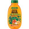 Image 1 : NEW GARNIER WHOLE BLENDS KIDS 2-1 SHAMPOO 250ML