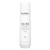 Image 1 : NEW 300ML GOLDWELL DUALSENSES SILVER SHAMPOO