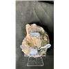 Image 2 : AMMONITE FOSSIL RETAIL $400