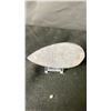 Image 2 : ORTHOCERAS AMMONITE FOSSIL RETAIL $400