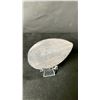 Image 2 : ORTHOCERAS AMMONITE FOSSIL RETAIL $400