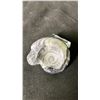 Image 2 : ORTHOCERAS AMMONITE FOSSIL RETAIL $400 *UNATTACHED*