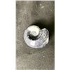 Image 2 : ORTHOCERAS AMMONITE FOSSIL RETAIL $400 *UNATTACHED*