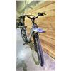 Image 2 : IGO E-BIKE WITH BATTERY AND CHARGER
