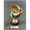 Image 1 : Nicely Mounted Antique Seashell. Approx. 8"H