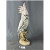 Image 1 : A Vintage Royal Dux Porcelain Cockatoo Small Crack in Base on the Back