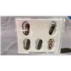 Image 2 : COLLECTION OF FOUR 'HEAVENLY EYES' DZI BEADS IN CASE