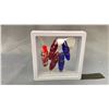 Image 2 : 5 COLOURED ENAMELED DZI BEADS IN CASE