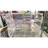 Image 2 : CLEAR PLASTIC DISPLAY CASE & PLAQUES