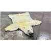 Image 1 : POLAR BEAR RUG WITH PAPERS APPROX 91" FROM NOSE TO TAIL