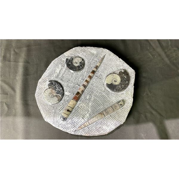 13  X 12  ORTHOCERAS FOSSIL PLAQUE RETAIL $2500
