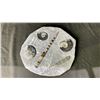 Image 1 : 13" X 12" ORTHOCERAS FOSSIL PLAQUE RETAIL $2500