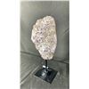 Image 2 : 11" 2KG AMETHYST WITH CALCITE ON STAND RETAIL $2400