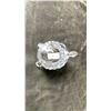 Image 2 : GLASS TURTLE