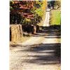 Image 11 : BID HERE :HARMONY /PALLACK FARM : 159 ACRES LOT 3H