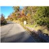 Image 12 : BID HERE :HARMONY /PALLACK FARM : 159 ACRES LOT 3H
