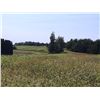 Image 13 : BID HERE :HARMONY /PALLACK FARM : 159 ACRES LOT 3H