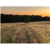 Image 14 : BID HERE :HARMONY /PALLACK FARM : 159 ACRES LOT 3H